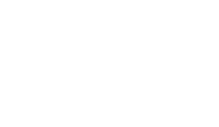 Logotipo branco Villa Maggiore